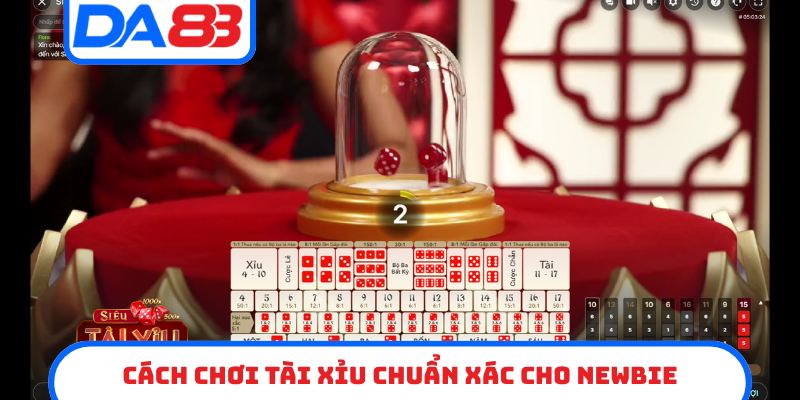 Cách chơi tài xỉu chuẩn xác cho newbie