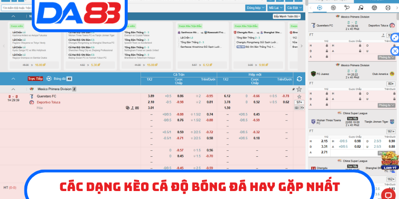 Các dạng kèo cá độ bóng đá hay gặp nhất
