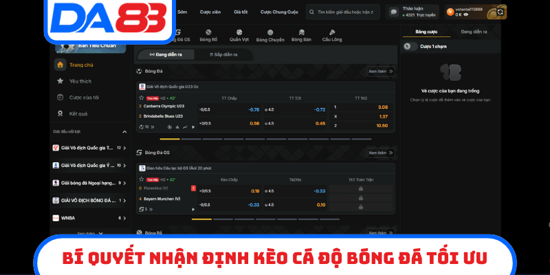 Bí quyết nhận định kèo cá độ bóng đá tối ưu