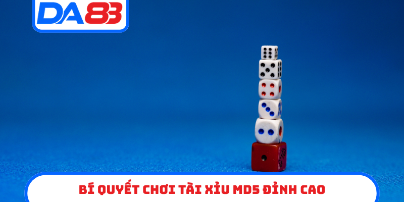 Bí quyết chơi Tài Xỉu MD5 đỉnh cao